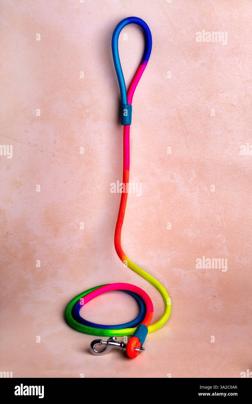 Strapazierfähige Hundeleine mit stabilem Verschluss und bequemem Griff – perfekt für Spaziergänge, Training und Abenteuer. Ideal für Haustierpflege, E-Commerce und Marketing. Stockfoto Strapazierfähige Hundeleine mit stabilem Verschluss und bequemem Griff – perfekt für Spaziergänge, Training und Abenteuer. Ideal für Haustierpflege, E-Commerce und Marketing. Stockfoto