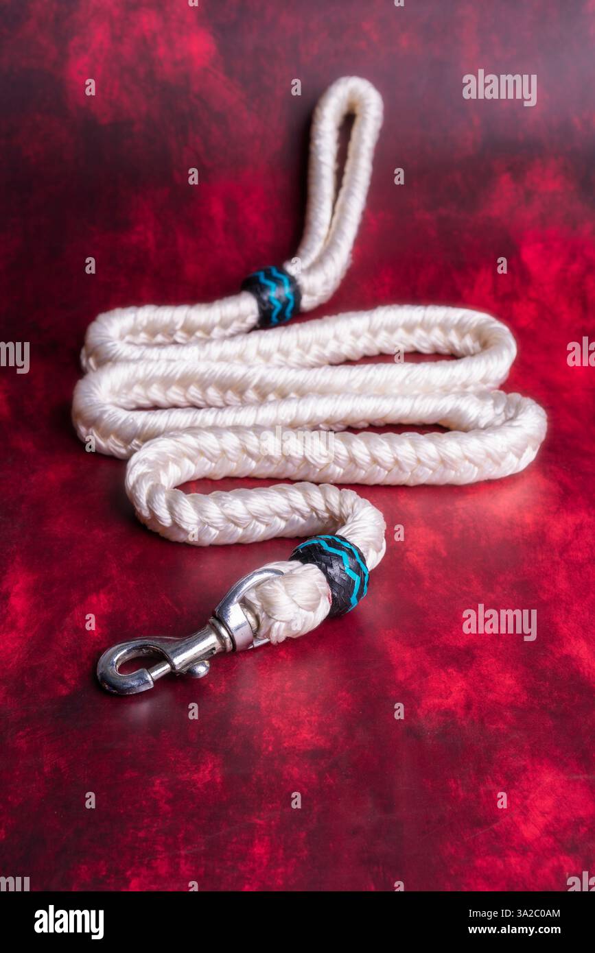 Strapazierfähige Hundeleine mit stabilem Verschluss und bequemem Griff – perfekt für Spaziergänge, Training und Abenteuer. Ideal für Haustierpflege, E-Commerce und Marketing. Stockfoto Strapazierfähige Hundeleine mit stabilem Verschluss und bequemem Griff – perfekt für Spaziergänge, Training und Abenteuer. Ideal für Haustierpflege, E-Commerce und Marketing. Stockfoto