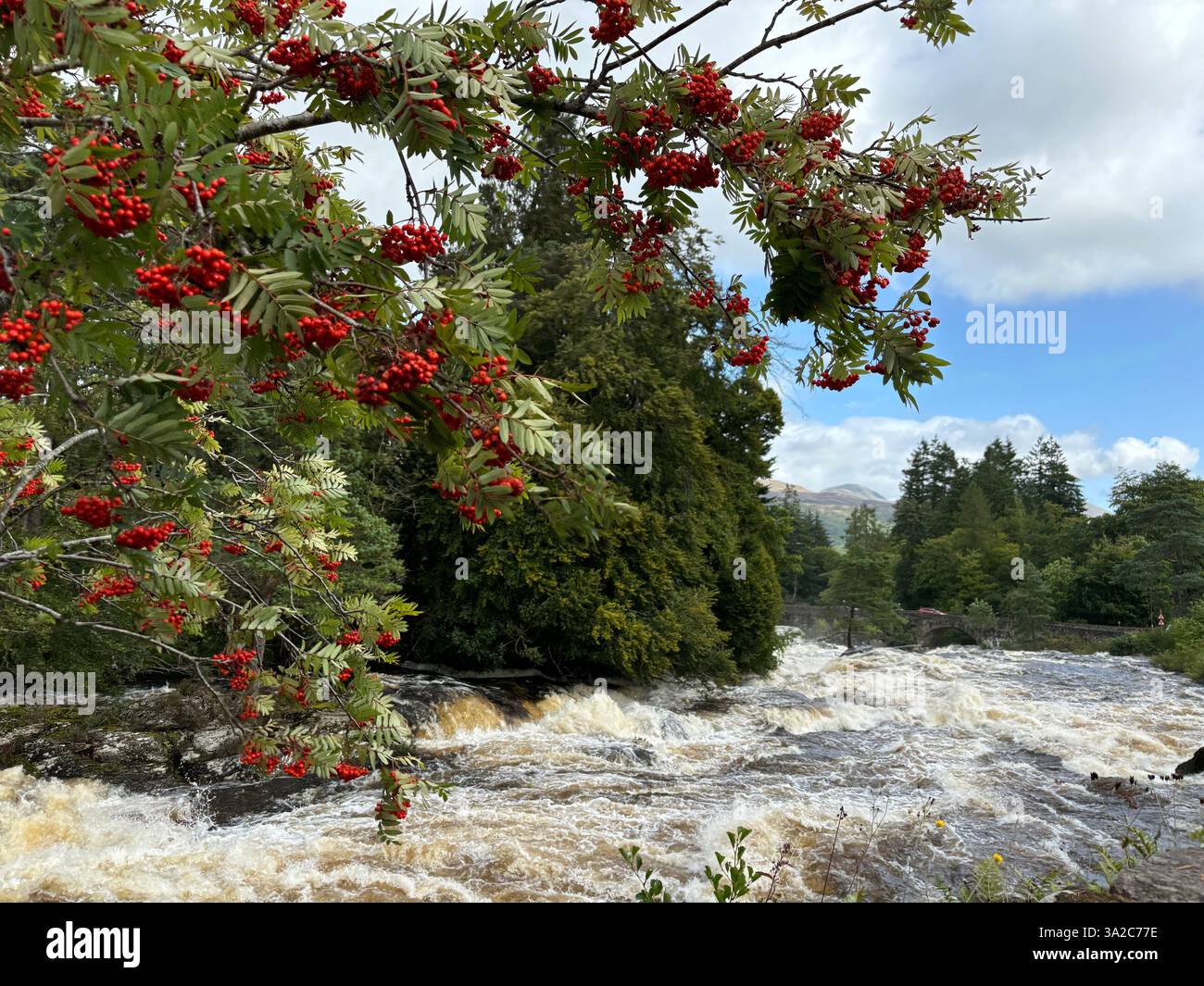 Wild River - Smartphone-aufgenommenes Stockfoto