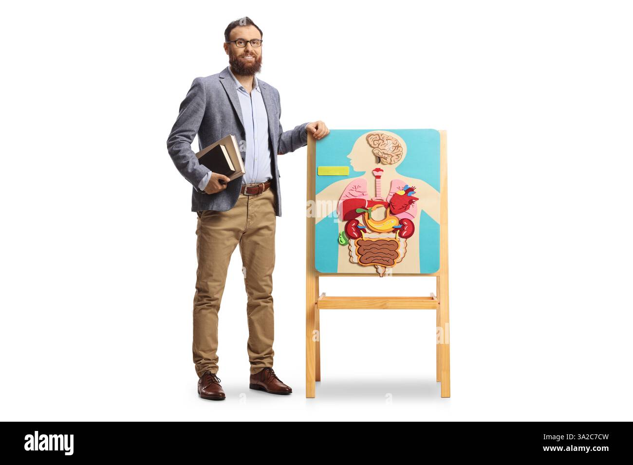 Porträt eines männlichen Biologielehrers, der neben einem Brett mit Poster menschlicher Organe steht, isoliert auf weißem Hintergrund Stockfoto