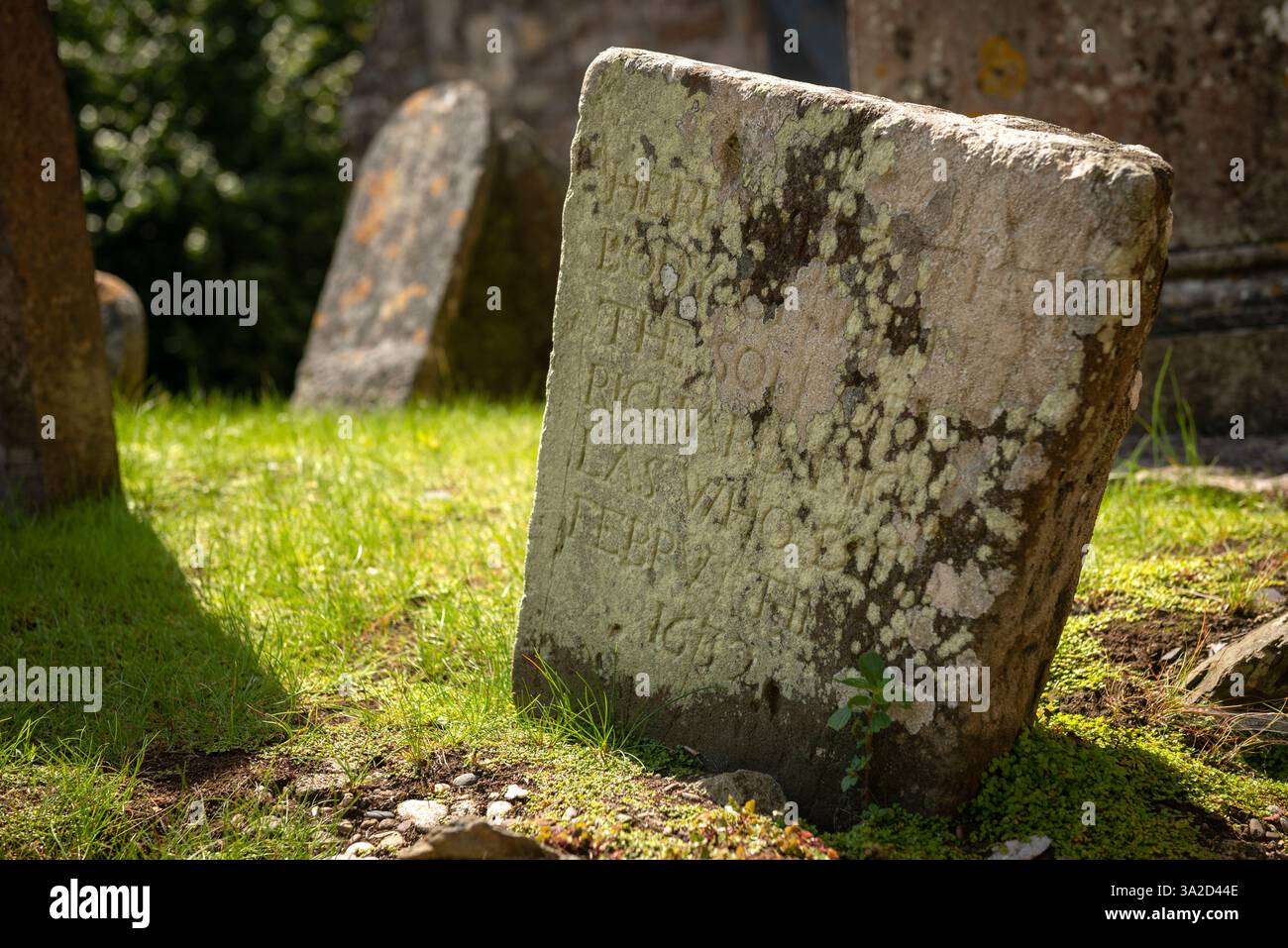 moosbedeckter Grabstein, alter Grabstein, St. Mary's Collegiate Church, Friedhof, Youghal, Religion, Grabstein, Friedhof, alter Grabstein, Erbe Stockfoto