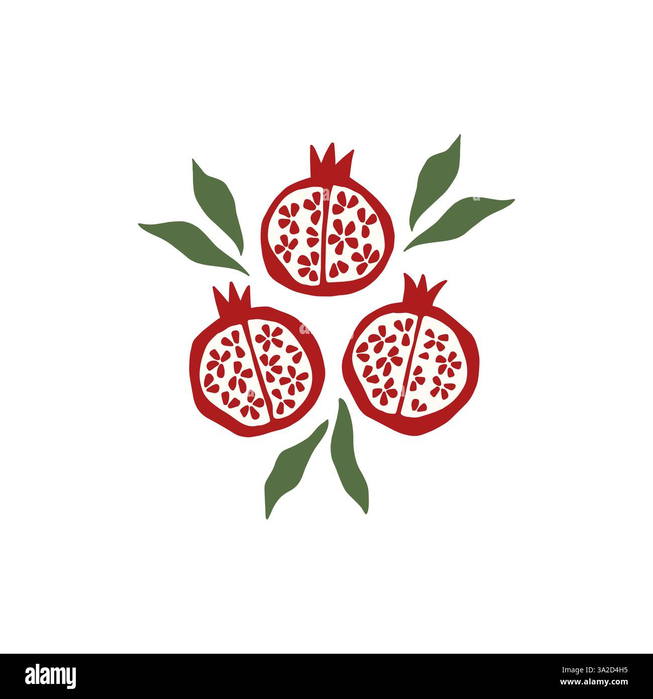 Granatapfelfrucht-Vektor-Illustration Stock Vektor