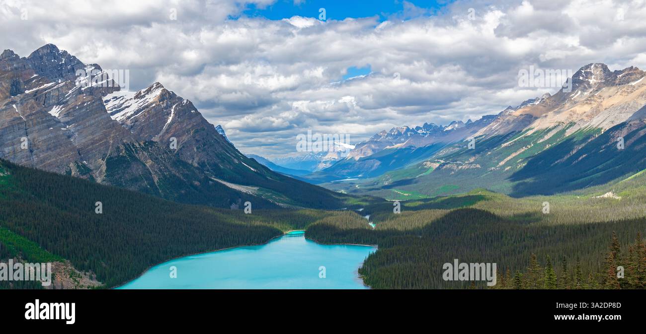 Das Panorama der Kanadischen Rockies mit türkisfarbenem Gletschersee und Kiefern, der Banff-Nationalpark, Alberta, Kanada. Stockfoto
