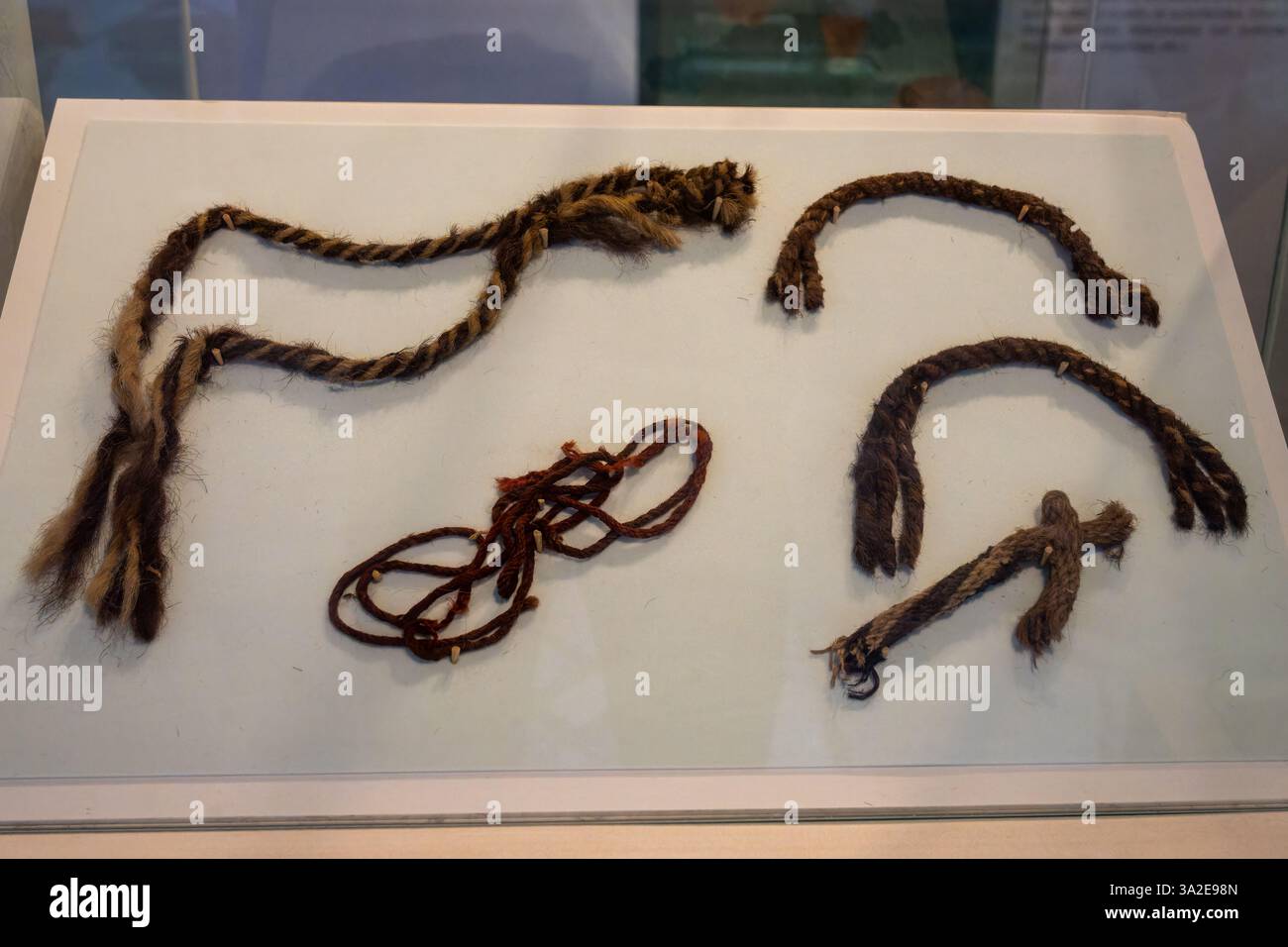 Seile und Seile der Ureinwohner vor hispanischen Ureinwohner im Museum of Anthropology, Salta, Argentinien. Von Santa Rosa de Tastil. Stockfoto