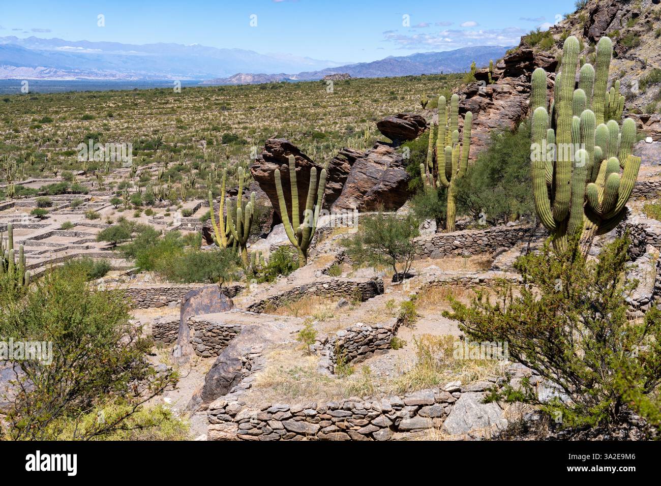 Die prähispanischen Ruinen des Quilmes Archeological Park in Tucuman, Argentinien. Stockfoto