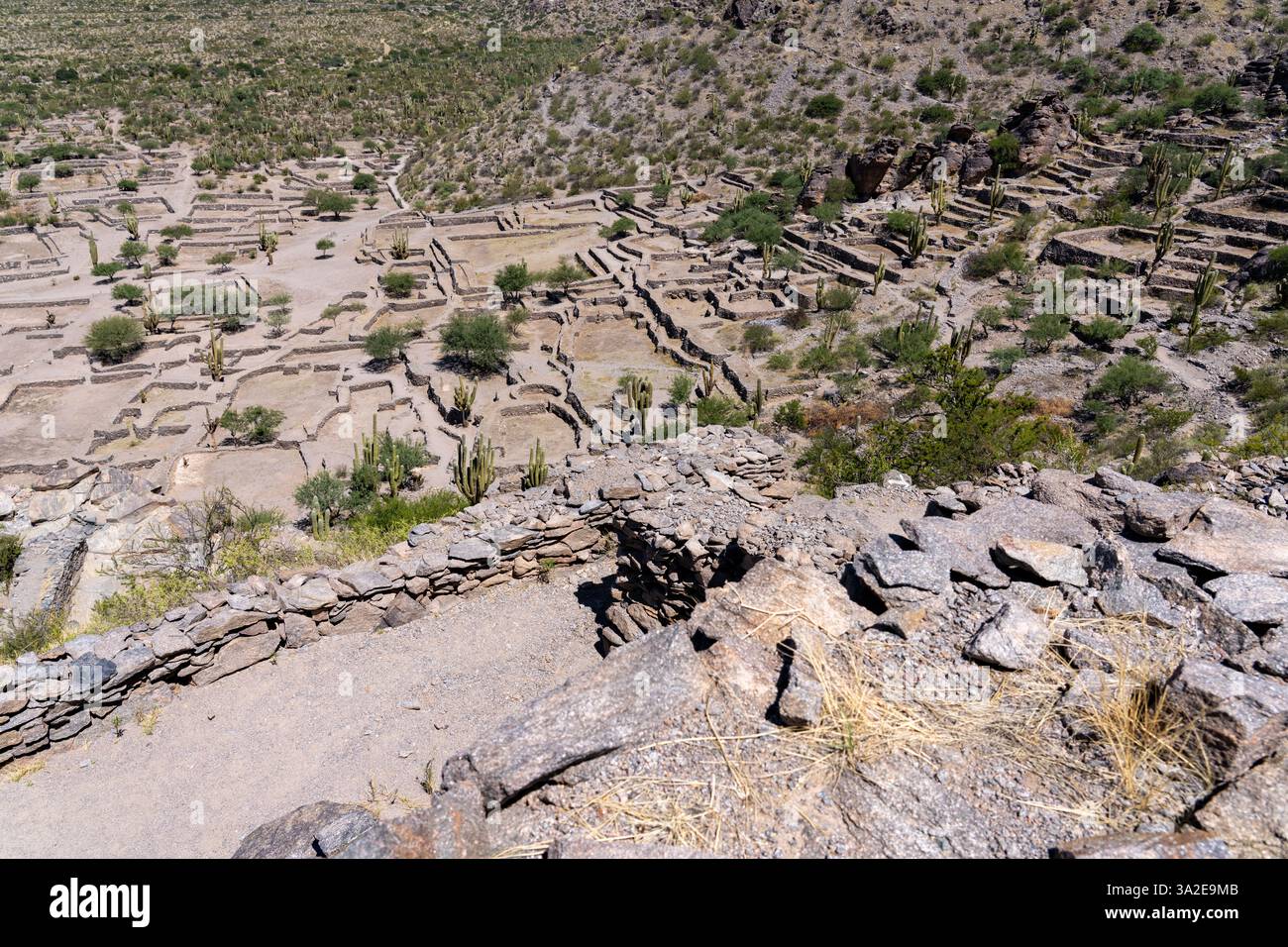 Die terrassenförmig angelegten prähispanischen Ruinen des Quilmes Archeological Park in Tucuman, Argentinien. Stockfoto
