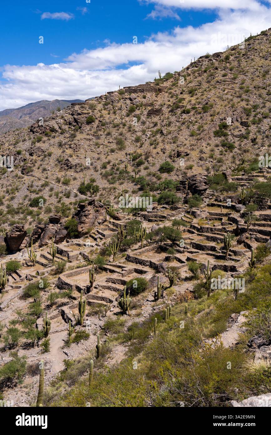 Die terrassenförmig angelegten prähispanischen Ruinen des Quilmes Archeological Park in Tucuman, Argentinien. Stockfoto
