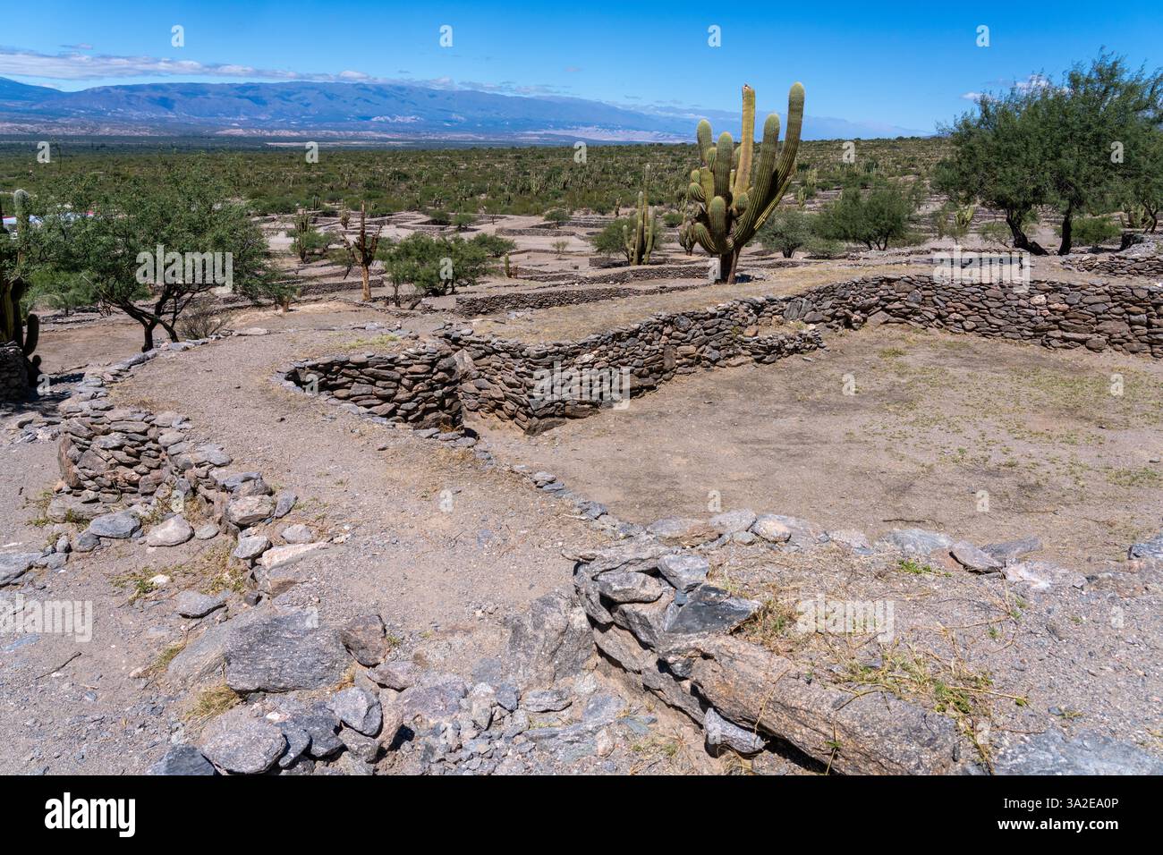 Die prähispanischen Ruinen des Quilmes Archeological Park in Tucuman, Argentinien. Stockfoto