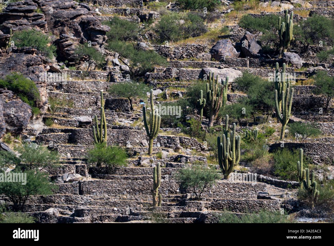 Die terrassenförmig angelegten prähispanischen Ruinen des Quilmes Archeological Park in Tucuman, Argentinien. Stockfoto