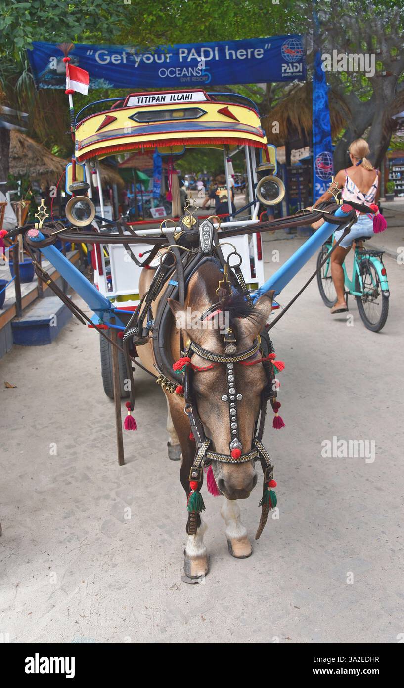 Perderickshaw auf der Insel Gili Air, wo es keine benzinbetriebenen Fahrzeuge gibt, Indonesien, Lombok, Gili Air Stockfoto