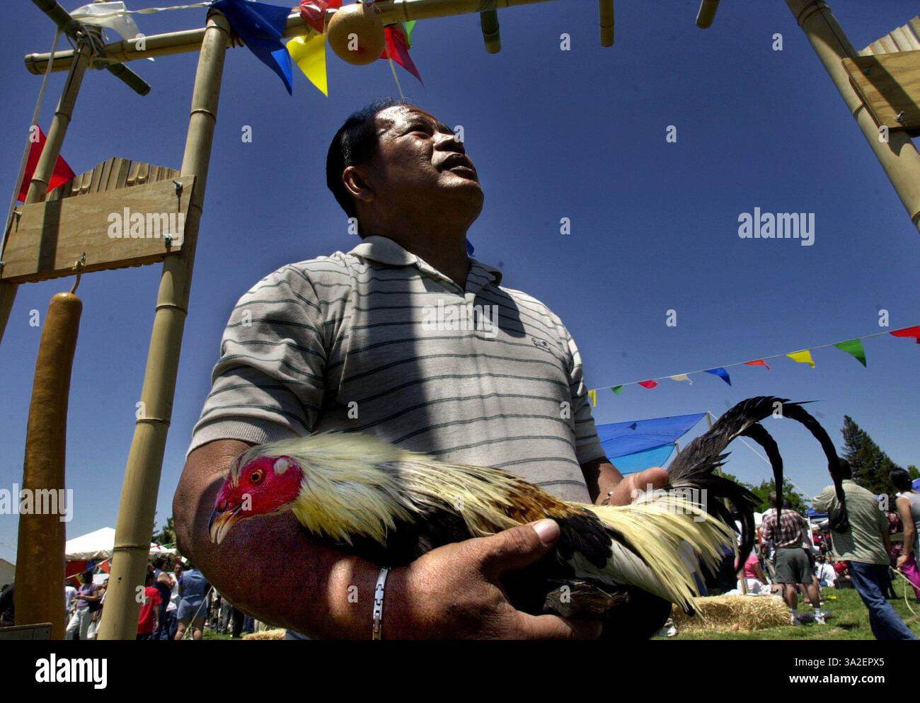Jose Ladrillono zeigt seinen Hahn an seinem Kulturstand den Besuchern des Festivals. Foto im Jose Rizal Community Center während der Filipino Fiesta 2001 am Sonntag, 10. Juni 2001. Das Festival war von 10 bis 17 Uhr freier Eintritt. (Vermerk: © Sacramento Bee/ZUMAPRESS.com) Stockfoto