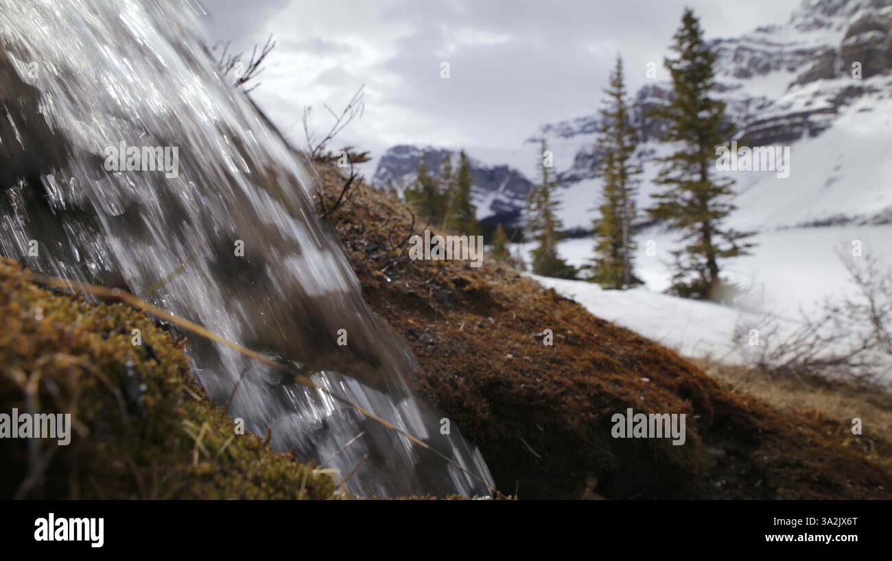 20. Mai 2014 - Calgary, ab, Kanada - Quellwasser fließt am Dienstag, den 20. Mai 2014, in den Bow Lake nördlich des Lake Louise, Alta. Der Bow Lake liegt am Quellgebiet des Bow River. Mike Drew/Calgary Sun/QMI Agency (Kreditbild: © Mike Drew/QMI Agency/ZUMAPRESS.com) Stockfoto