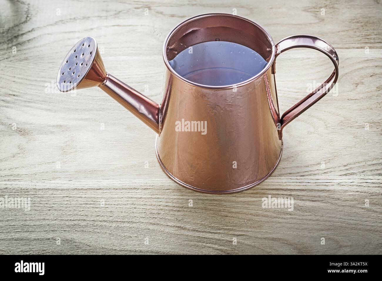 Vintage-Bewässerungstopf mit Wasser auf Holzbrett Landwirtschaftskonzept Stockfoto