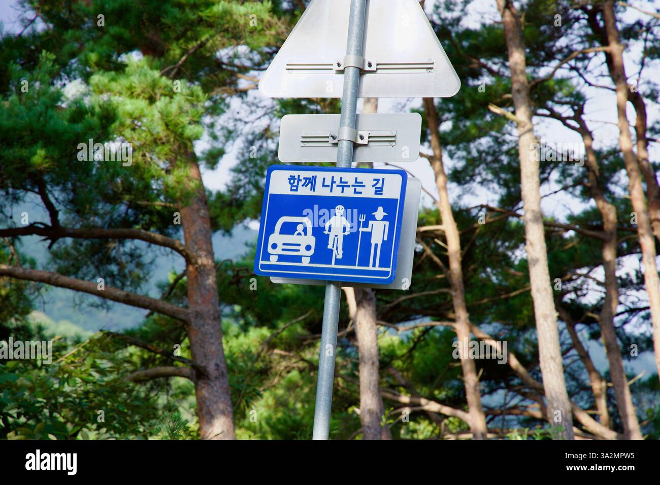 Gokseong County, Südkorea - 3. Oktober 2021: Ein blaues Straßenschild in einem bewaldeten Gebiet markiert eine gemeinsame Straße für Fahrzeuge, Radfahrer und Bauern Stockfoto
