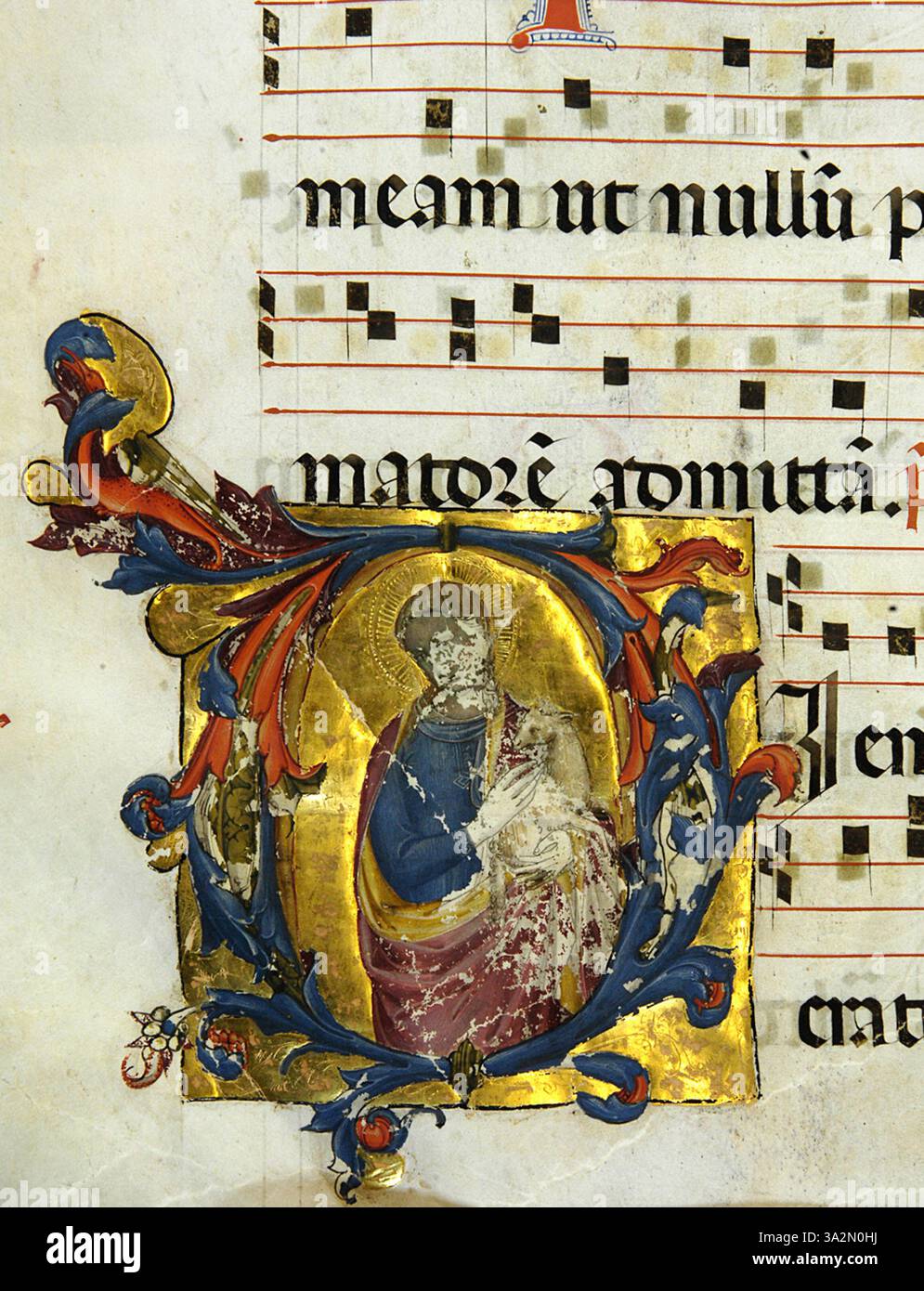 Monacos Gemälde „Sant’Agnese“ zeigt die Heilige Agnes, dargestellt mit Symbolen ihres Martyriums. Das Kunstwerk spiegelt die Reinheit der heiligen und ihre Bedeutung in christlichen religiösen Traditionen wider. Stockfoto