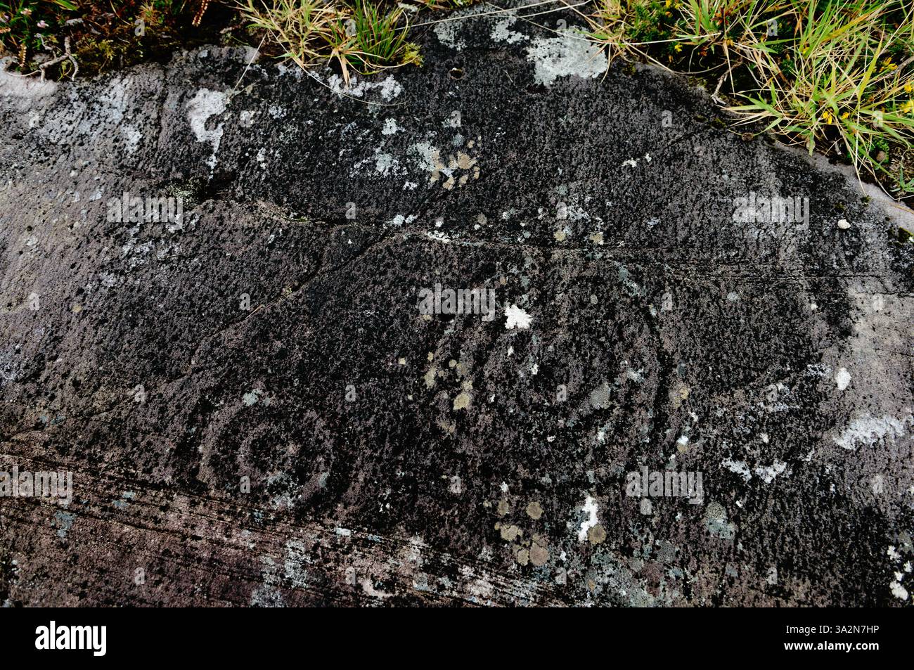 Becher und Ring prähistorische Steinschnitzerei an der Stelle, die als Kealduff Upper 2 bekannt ist. Auf der Halbinsel Iveragh 7 km südwestlich von Glenbeigh, Kerry, Irland Stockfoto