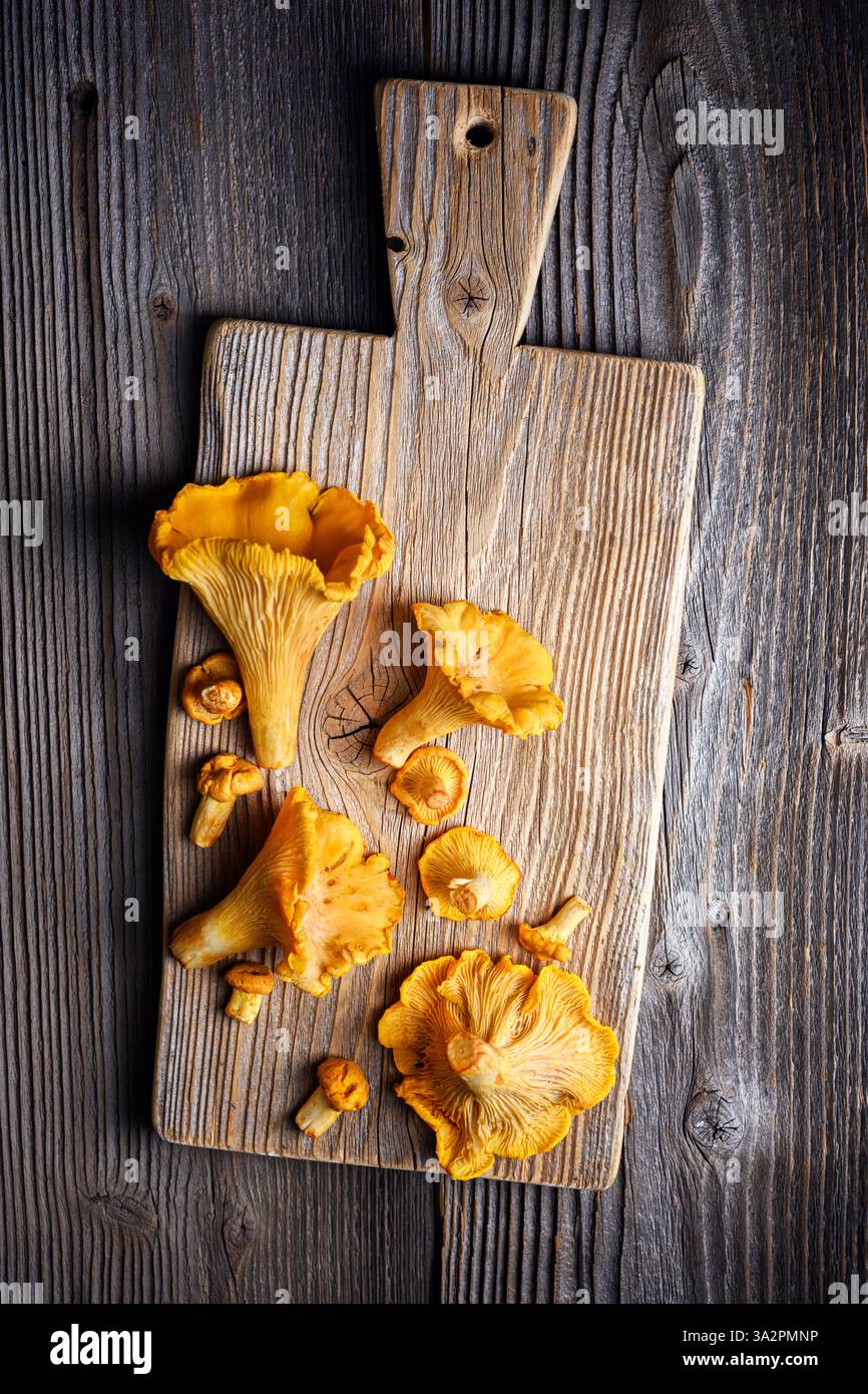 Blick von oben auf Pfifferlinge auf einem rustikalen Schneidebrett auf Holztisch aus nächster Nähe. Lebensmittelfotografie Stockfoto