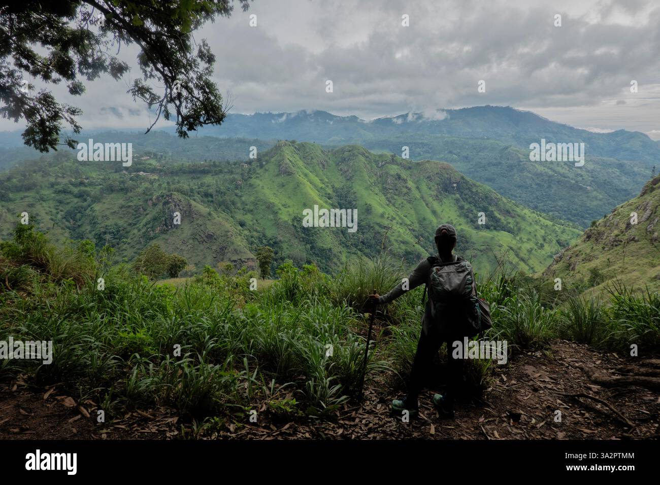 Blick auf Little Adam's Peak vom Pekoe Trail, Ella, Sri Lanka Stockfoto