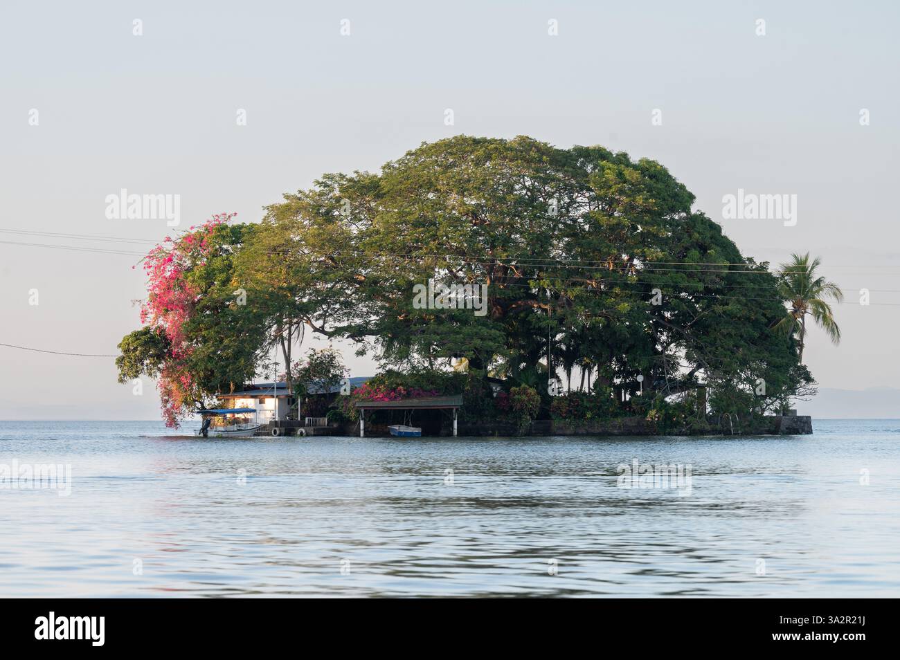 Eine ruhige Insel mit lebendigen Bäumen und Blumen liegt im ruhigen Wasser und reflektiert das Licht am frühen Morgen. Stockfoto