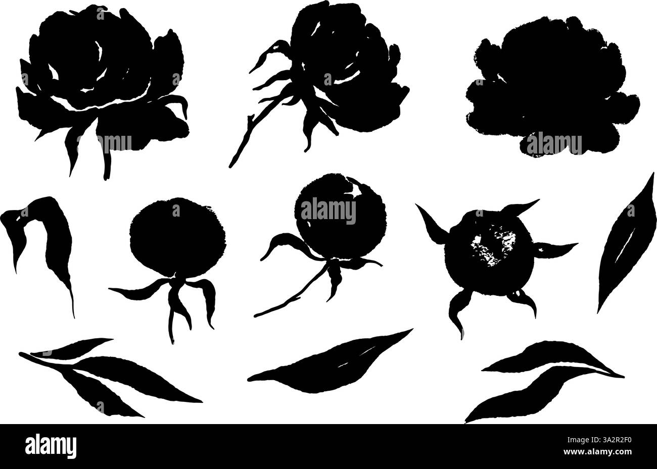 Pfingstrose Blumen schwarze Silhouetten Sammlung monochrome botanische Blumenelemente Vektor-Illustration Stock Vektor