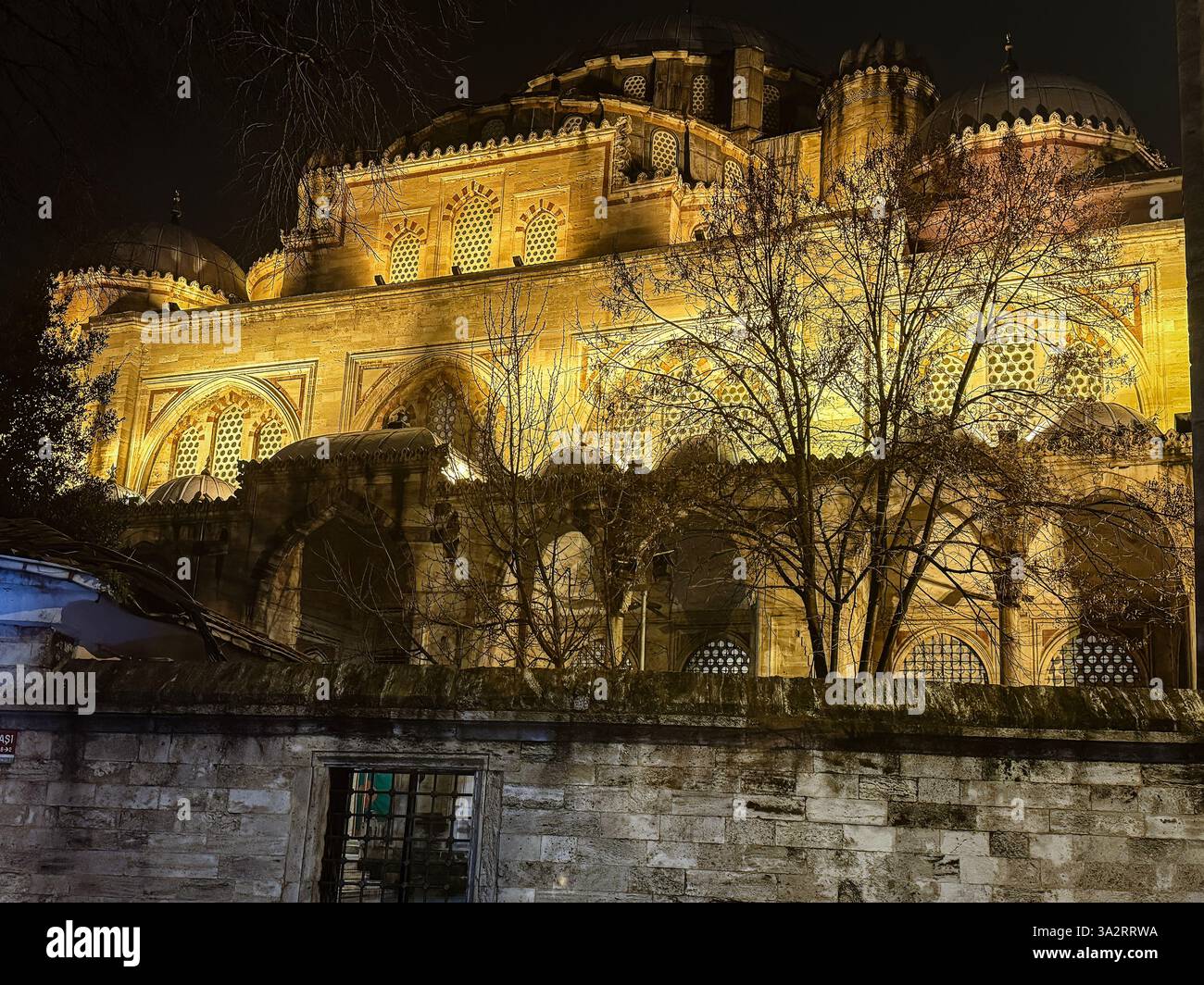 Eine wunderschön beleuchtete Blaue Moschee in der Nacht, Istanbul, Türkei Stockfoto
