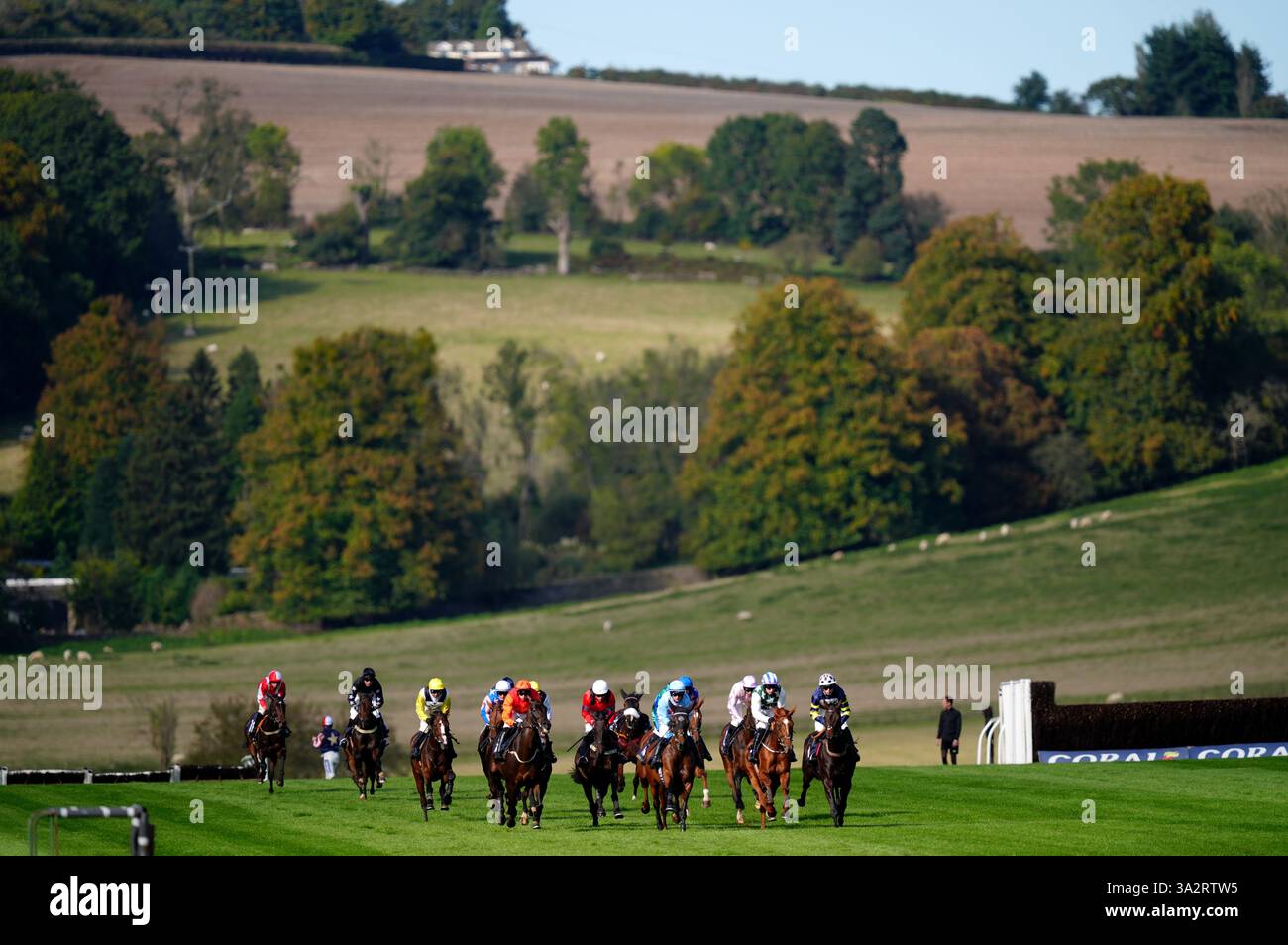 Läufer und Fahrer in den Capital Windschutzscheiben zum Gedenken an Aaron Jones EBF Mares' „National Hunt“-Neulinge stürzen sich am ersten Tag des Unibet Jump Season Opener auf der Rennbahn Chepstow. Bilddatum: Freitag, 11. Oktober 2024. Stockfoto