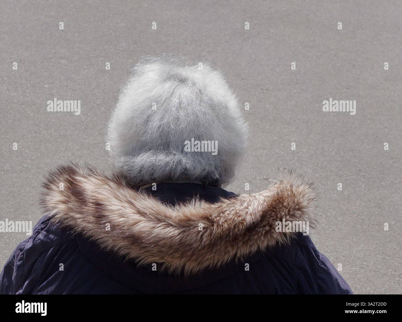 Rückansicht der Person mit grauen Haaren Stockfoto