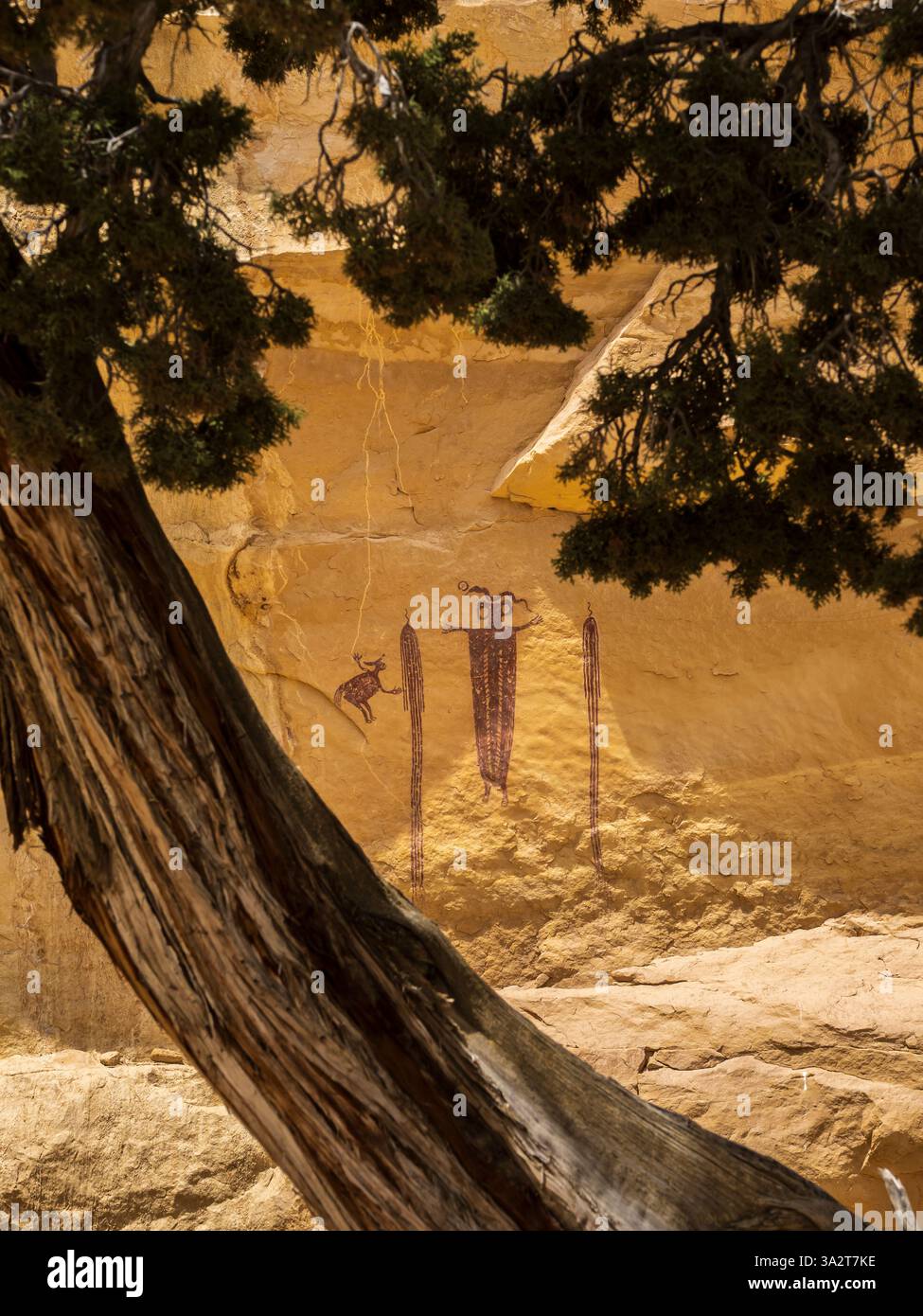 Leiter der Piktogrammtafel von Sinbad, San Rafael Swell westlich von Green River, Utah. Stockfoto