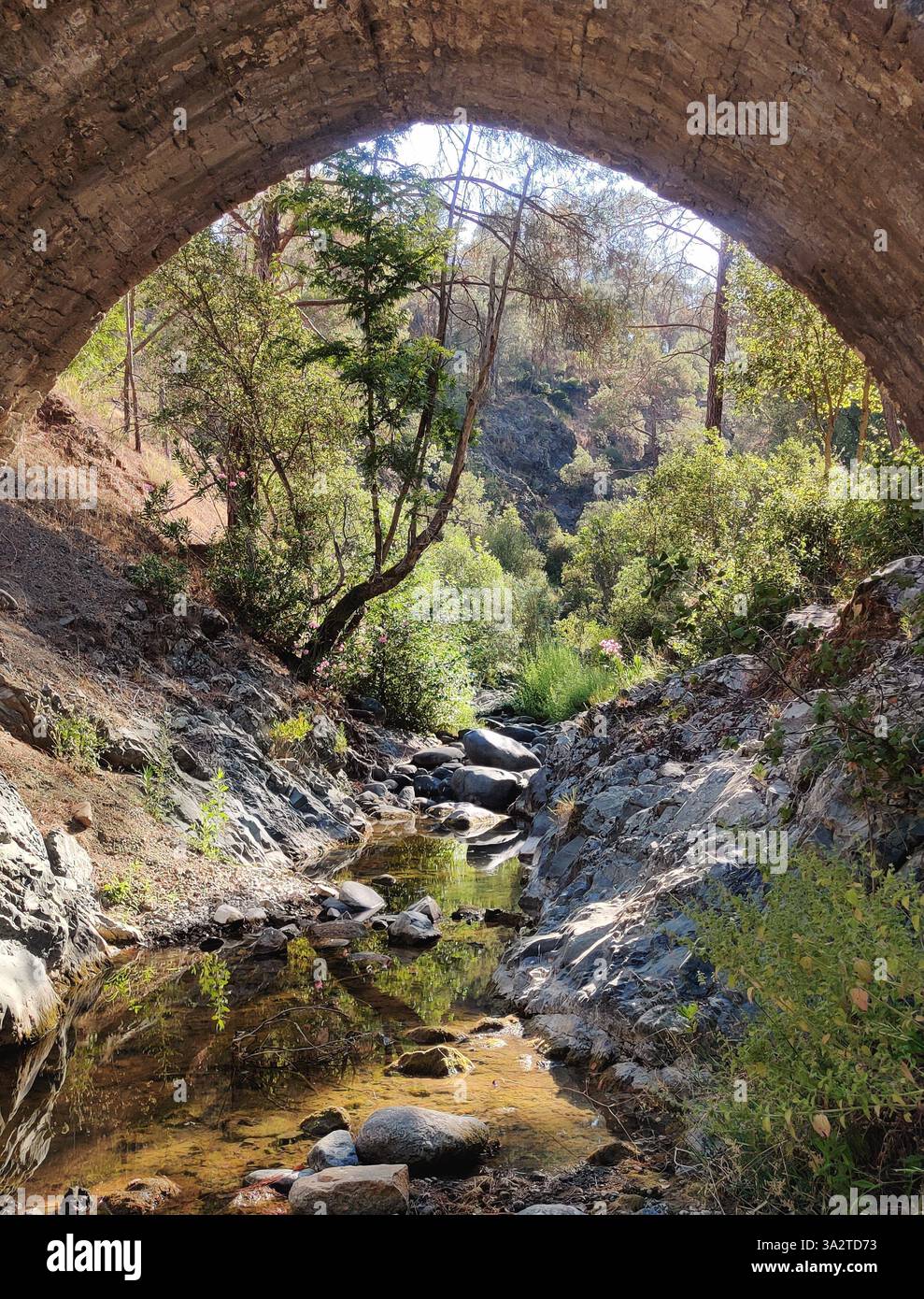 Blick von der Kelefos-Brücke in den Troodos-Bergen, Zypern, umrahmt einen felsigen Bach und Wald im Sonnenlicht. Stockfoto