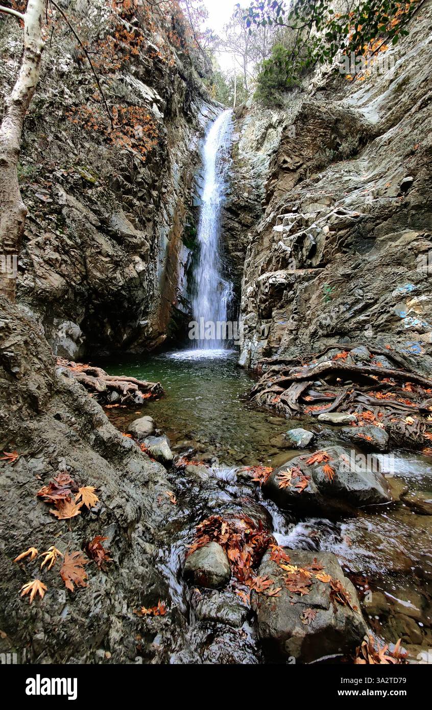 Caledonia Wasserfall im Troodos-Gebirge auf Zypern, eingerahmt von felsigem Gelände, Herbstblättern und freiliegenden Baumwurzeln. Stockfoto