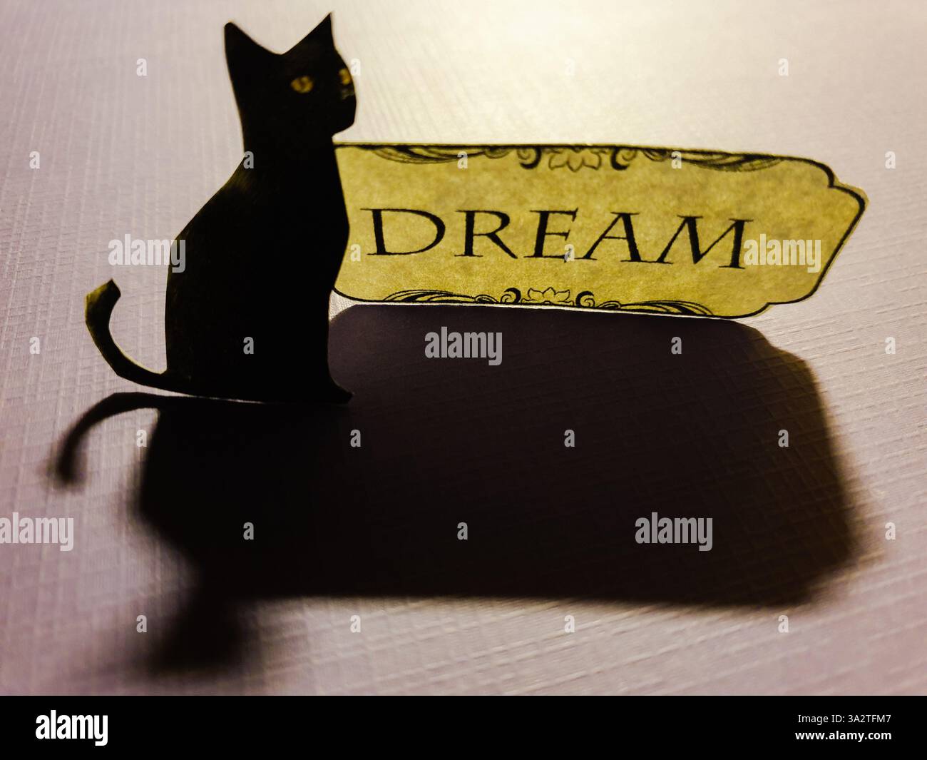 Konzeptuelle Collagekunst einer schwarzen Katze neben dem Text „Dream“ Stockfoto