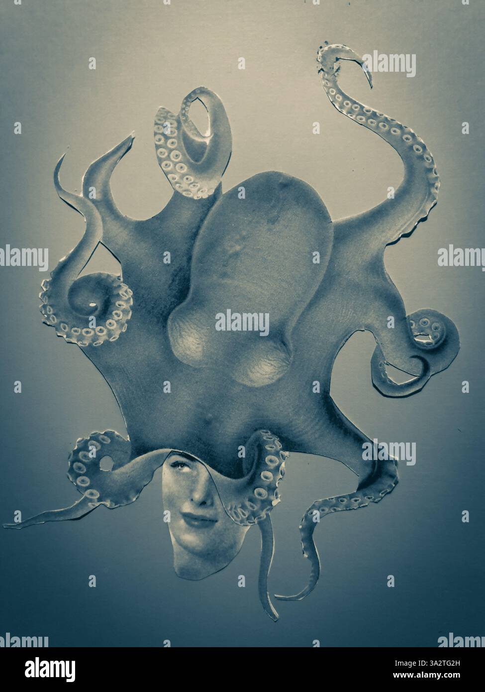 Konzeptuelle Collagekunst eines Oktopus, der den Kopf einer Frau bedeckt Stockfoto