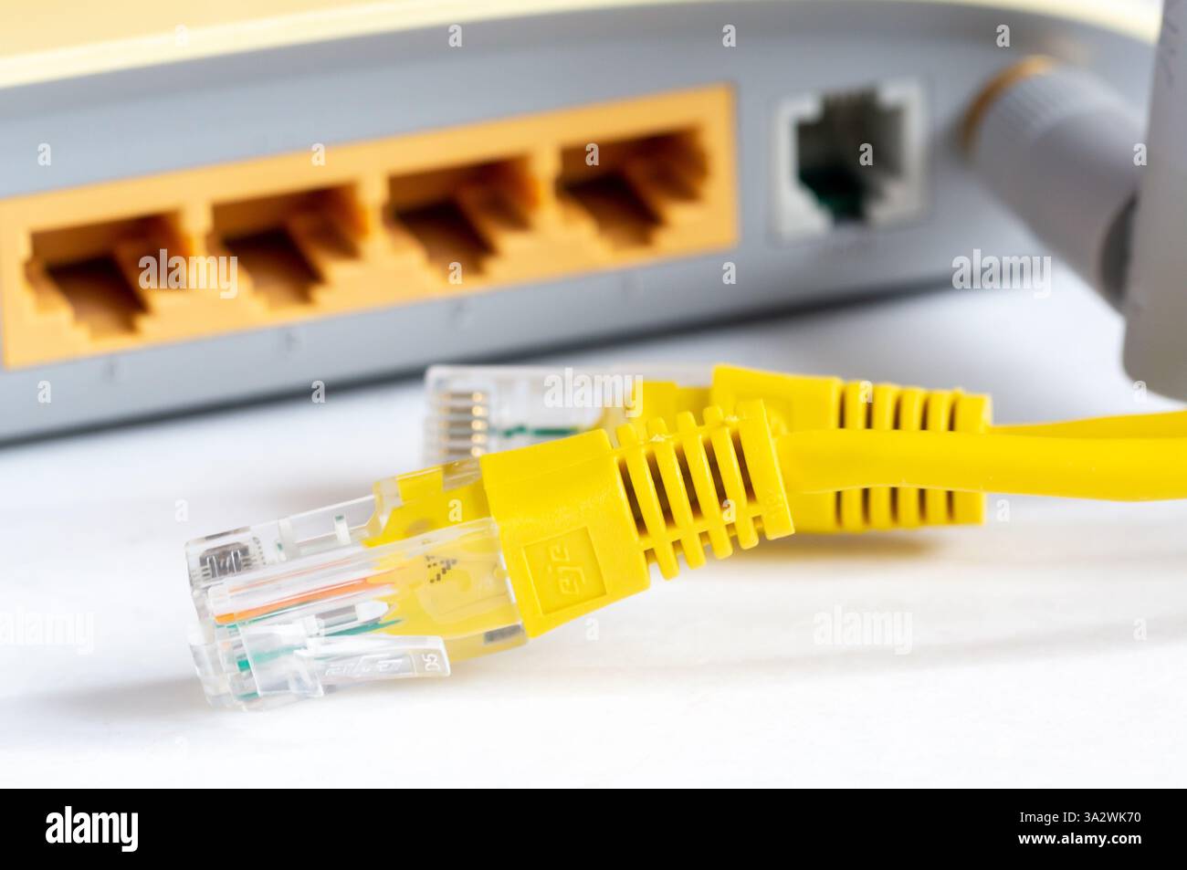 Nahaufnahme der LAN-Netzwerk-Switch-Anschlüsse mit angeschlossenen Ethernet-Kabeln. Isoliert auf weißem Hintergrund. Stockfoto
