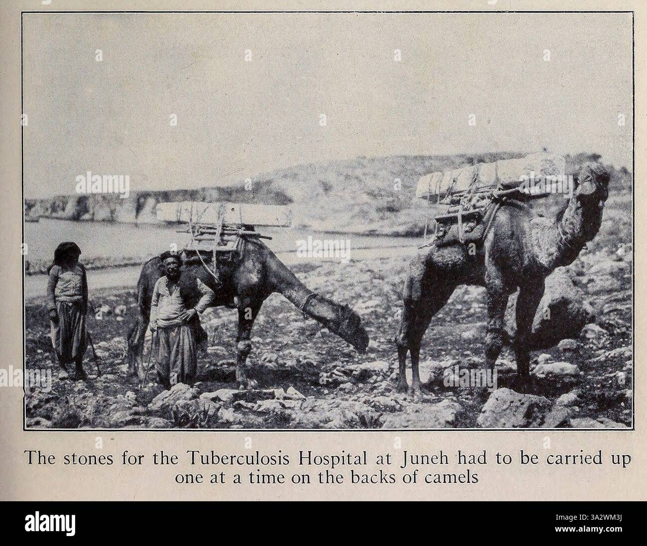 Die Steine für das Tuberkulose-Krankenhaus in Juneh mussten einzeln auf dem Rücken von Kamelen aus dem Heiligen Land und Syrien von Carpenter, Frank G. (Frank George), 1855-1924 veröffentlicht Garden City, N. Y., Doubleday, Page & Company 1922, getragen werden Stockfoto