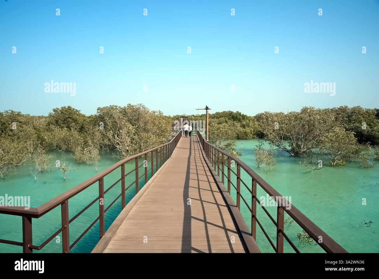 Abu Dhabi, Vereinigte Arabische Emirate – 2. März 2025, der Blick auf die Jubail Mangrove Parks, das erste in sich geschlossene Bildungs-, Natur- und Freizeitziel Stockfoto