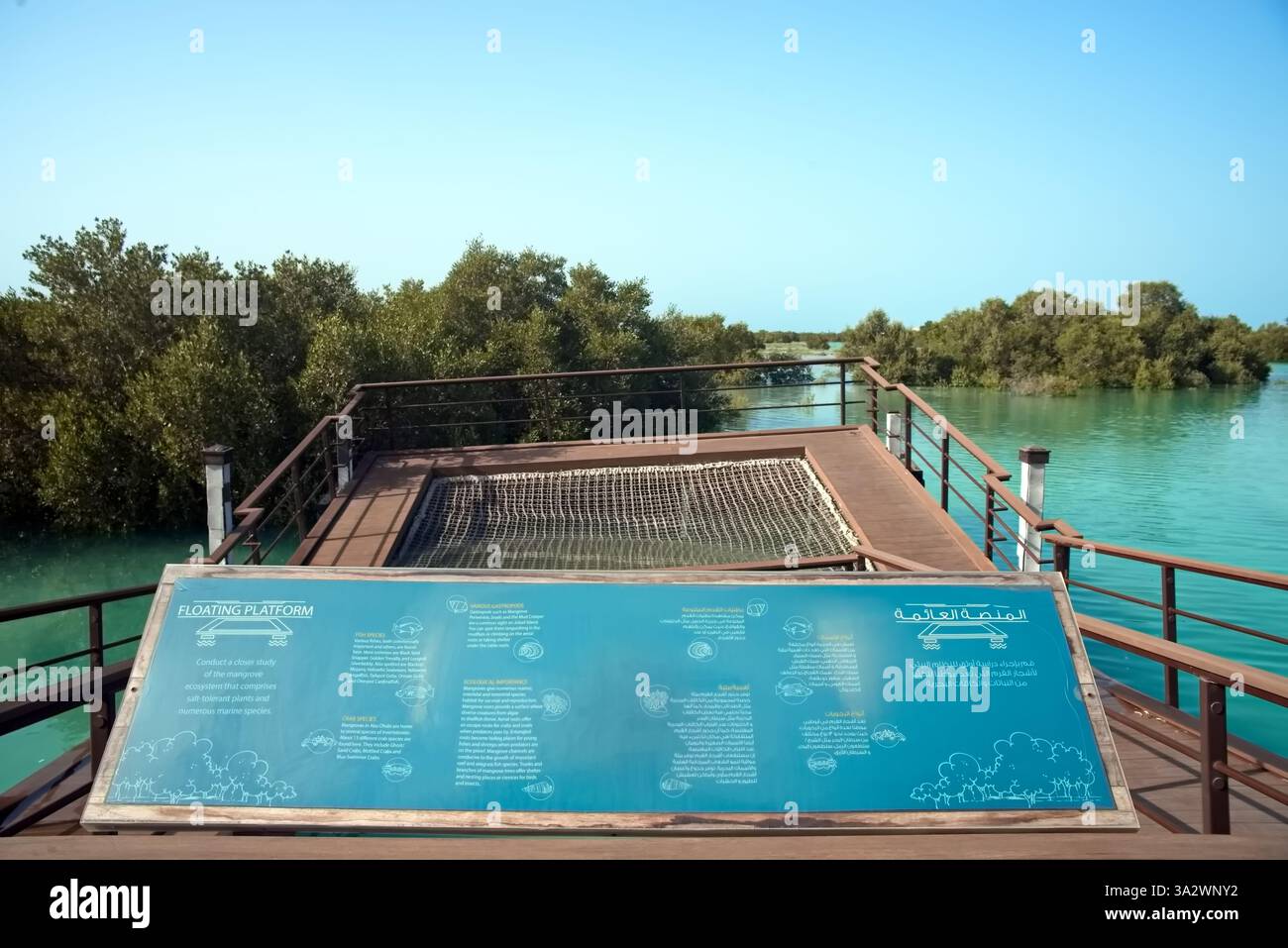 Abu Dhabi, Vereinigte Arabische Emirate – 2. März 2025, der Blick auf die Jubail Mangrove Parks, das erste in sich geschlossene Bildungs-, Natur- und Freizeitziel Stockfoto