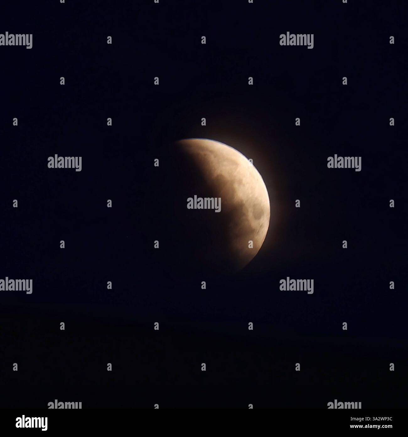 Doddiscombsleigh, Devon, Großbritannien. März 2025. Partielle Mondfinsternis. Hinweis: Nidpor/Alamy Live News Stockfoto