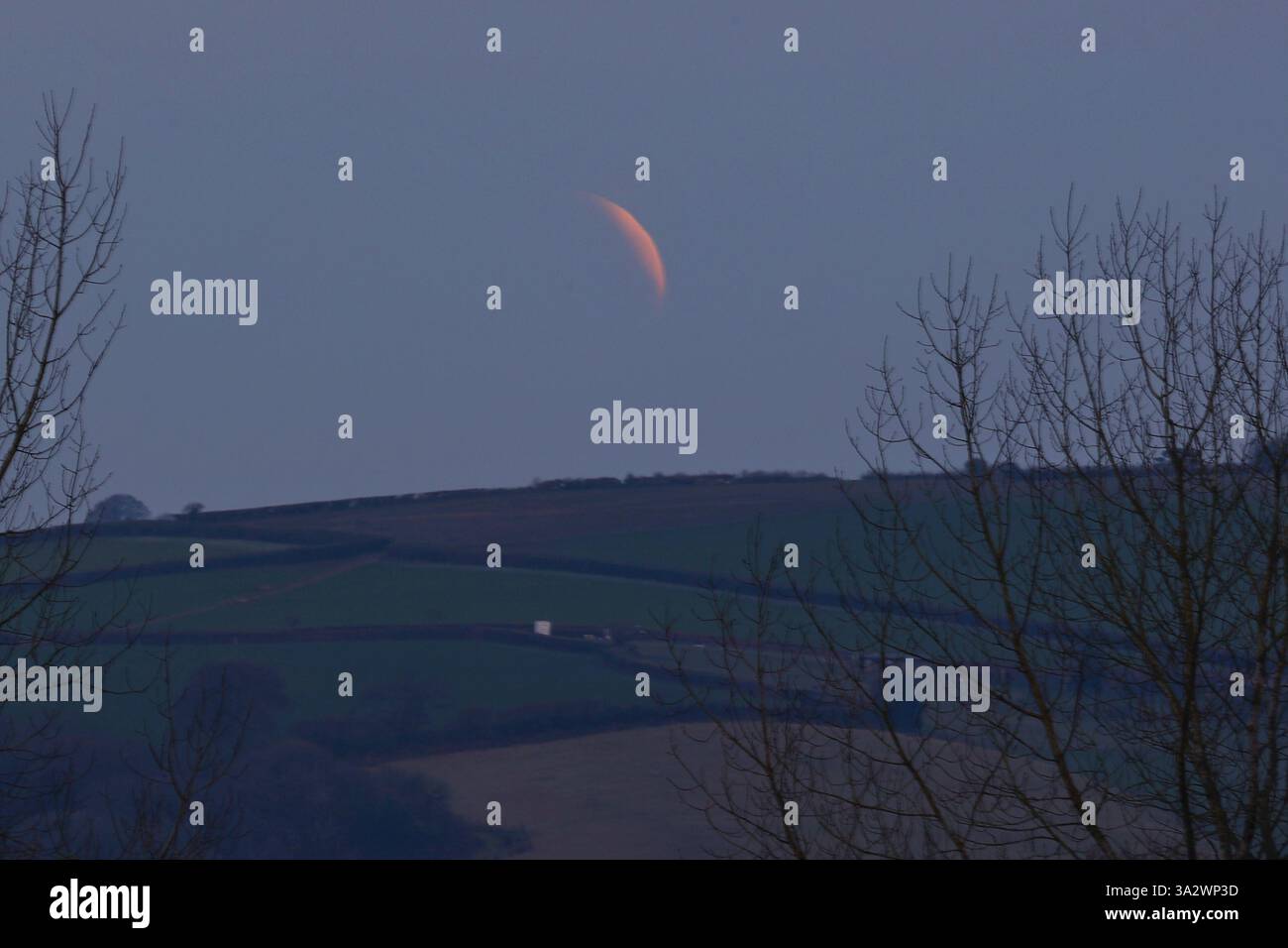 Doddiscombsleigh, Devon, Großbritannien. März 2025. Partielle Mondfinsternis. Hinweis: Nidpor/Alamy Live News Stockfoto