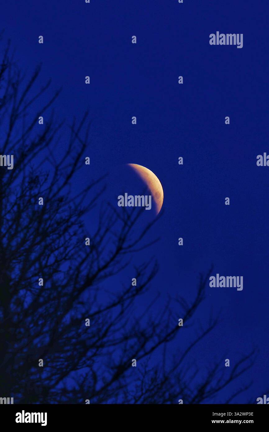 Doddiscombsleigh, Devon, Großbritannien. März 2025. Partielle Mondfinsternis. Hinweis: Nidpor/Alamy Live News Stockfoto