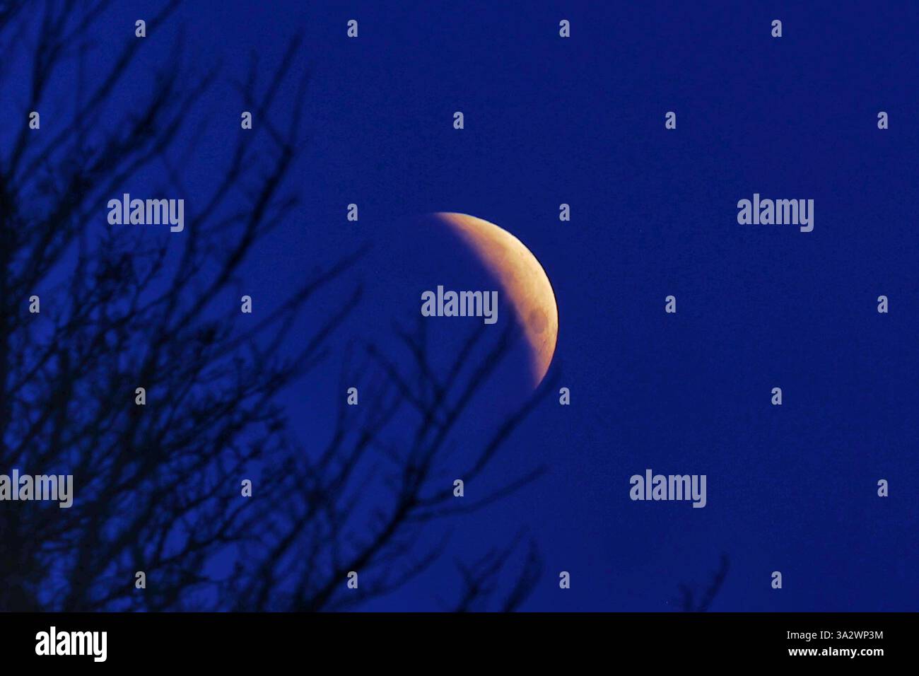 Doddiscombsleigh, Devon, Großbritannien. März 2025. Partielle Mondfinsternis. Hinweis: Nidpor/Alamy Live News Stockfoto