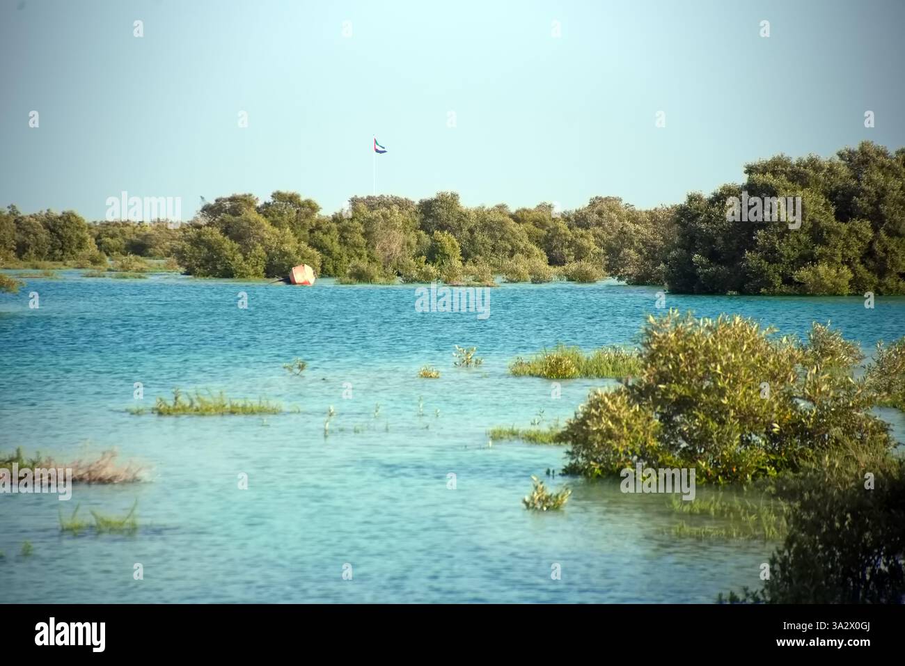 Abu Dhabi, Vereinigte Arabische Emirate – 2. März 2025, der Blick auf die Jubail Mangrove Parks, das erste in sich geschlossene Bildungs-, Natur- und Freizeitziel Stockfoto