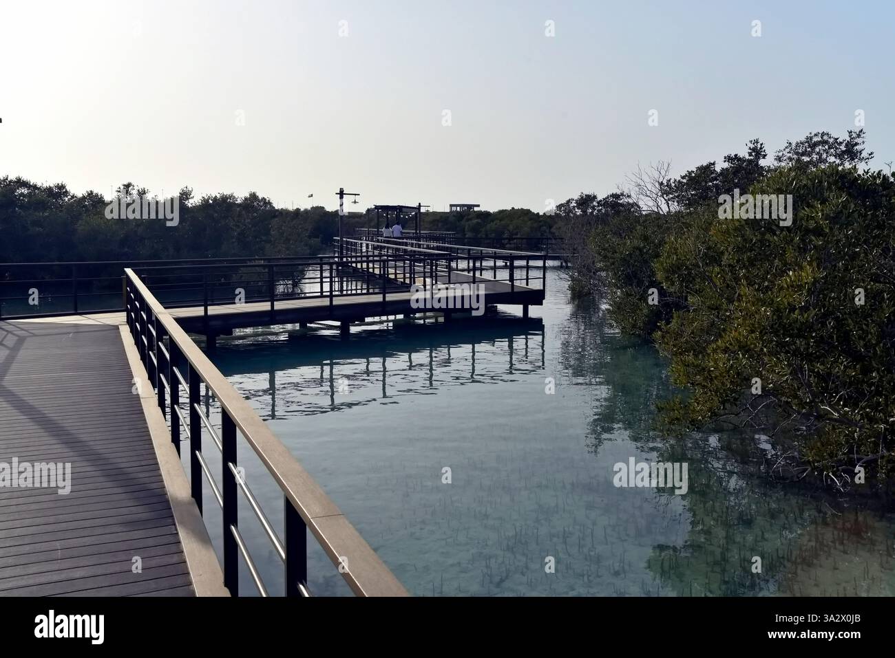 Abu Dhabi, Vereinigte Arabische Emirate – 2. März 2025, der Blick auf die Jubail Mangrove Parks, das erste in sich geschlossene Bildungs-, Natur- und Freizeitziel Stockfoto