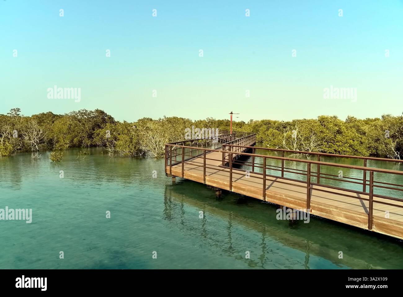 Abu Dhabi, Vereinigte Arabische Emirate – 2. März 2025, der Blick auf die Jubail Mangrove Parks, das erste in sich geschlossene Bildungs-, Natur- und Freizeitziel Stockfoto