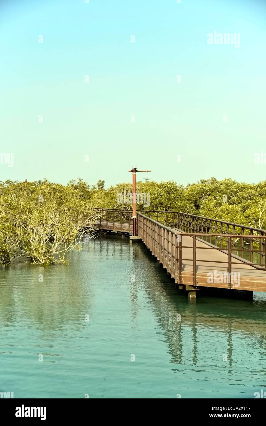 Abu Dhabi, Vereinigte Arabische Emirate – 2. März 2025, der Blick auf die Jubail Mangrove Parks, das erste in sich geschlossene Bildungs-, Natur- und Freizeitziel Stockfoto