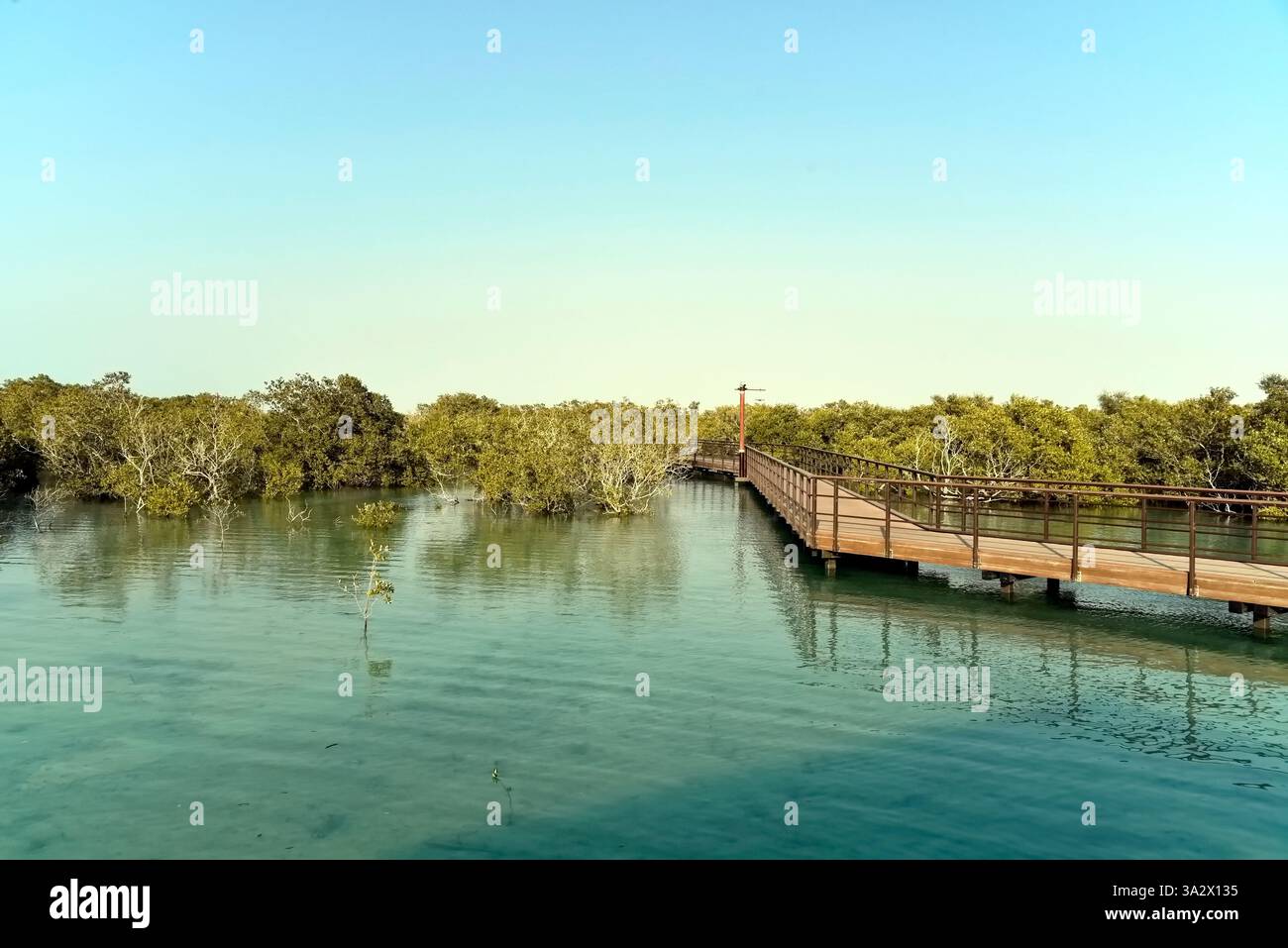 Abu Dhabi, Vereinigte Arabische Emirate – 2. März 2025, der Blick auf die Jubail Mangrove Parks, das erste in sich geschlossene Bildungs-, Natur- und Freizeitziel Stockfoto