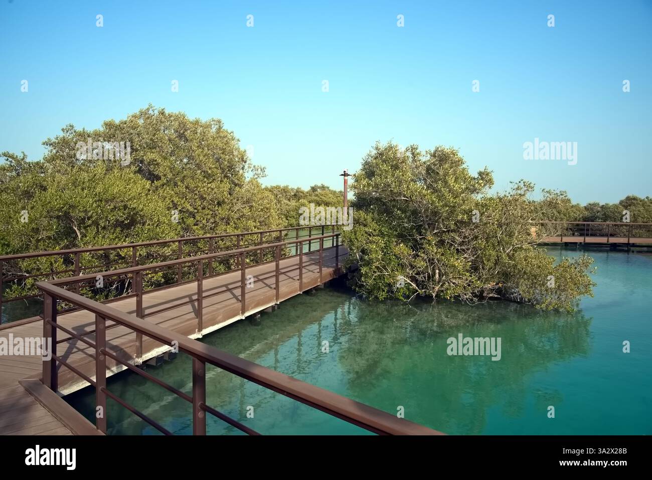 Abu Dhabi, Vereinigte Arabische Emirate – 2. März 2025, der Blick auf die Jubail Mangrove Parks, das erste in sich geschlossene Bildungs-, Natur- und Freizeitziel Stockfoto
