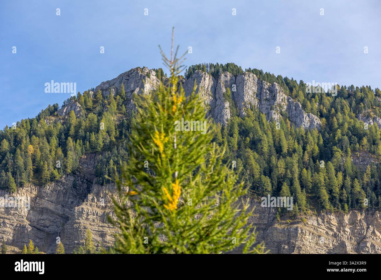 Seceda Berge im Sommer oder Herbst in Gröden, Dolomiten Alpen, Italien Stockfoto