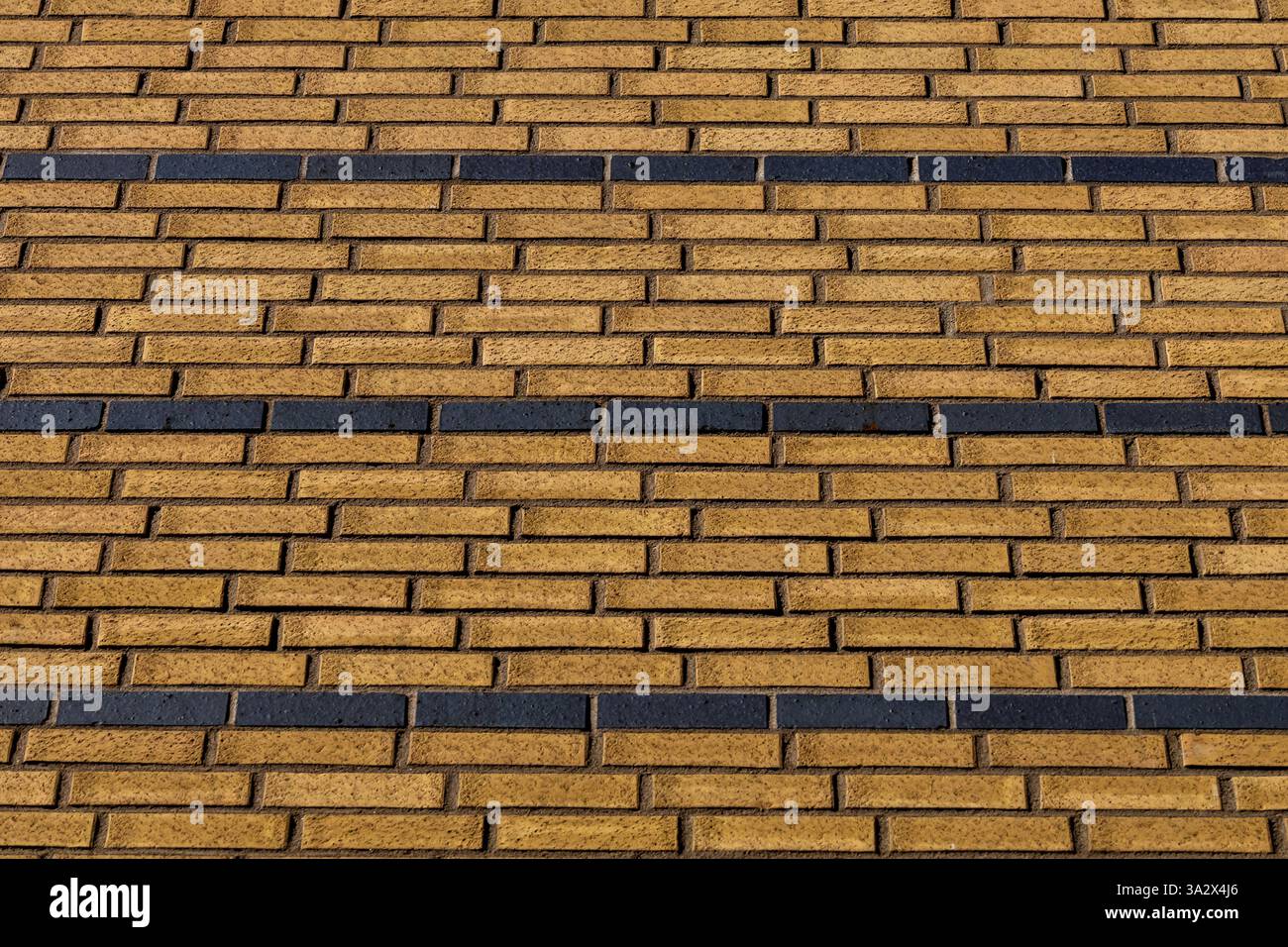 Eine strukturierte gelbe Ziegelwand wird von drei parallelen Linien schwarzer Ziegelsteine betont, die einen auffälligen Kontrast und ein geometrisches Muster erzeugen Stockfoto