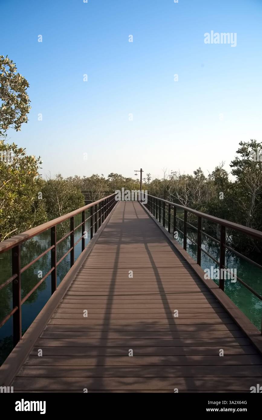 Abu Dhabi, Vereinigte Arabische Emirate – 2. März 2025, der Blick auf die Jubail Mangrove Parks, das erste in sich geschlossene Bildungs-, Natur- und Freizeitziel Stockfoto