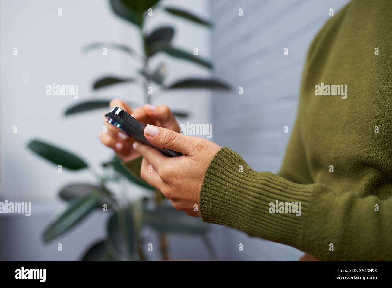 Mann, der ein Smartphone in einem grünen Pullover mit Indoor Plant Hintergrund hält Stockfoto